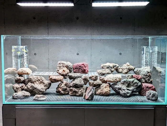 Aquascaping steps - PRIMAL BUST - IAPLC 2025 Silver Prize - Katsuki Tanaka / Japan